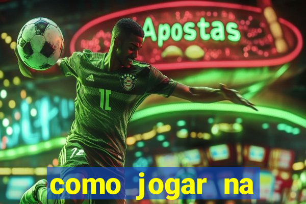 como jogar na lotinha do jogo do bicho